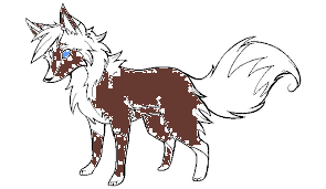 muddy wolf