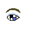 eye