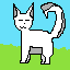 random cat
