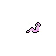 worm transformation