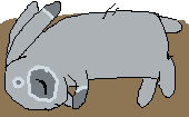 bunny sleep