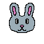 bunny