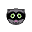 racoon