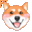 shiba