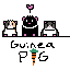 my guineapigs