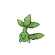suctuld front