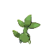 suctuld back