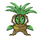 roculent