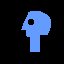 pbs p head