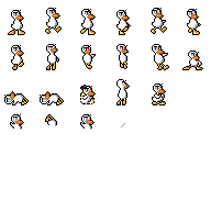 duck
