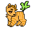 carrot