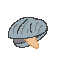 clammie