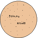 escudo potatto 1