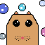 hamster ja mullid