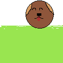 perrito