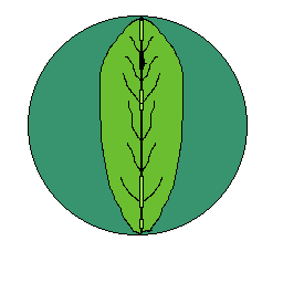 huerta tomas carrasquilla