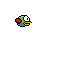 parrot