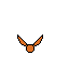 golden snitch