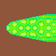 snaketail