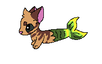 kitty
