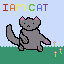 i am cat