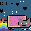 ryan cat how cute