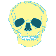 skull base