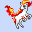 ponyta