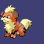 growlithe