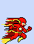 the flash