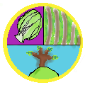 epic final