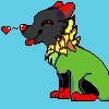 snar