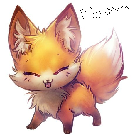 naava straight up