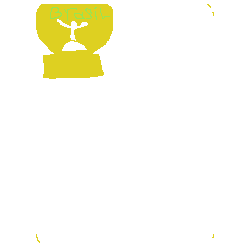 copa de brazil