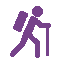 hiking purple