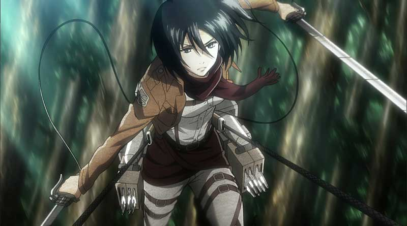 mikasa d