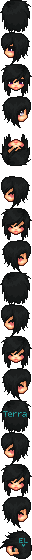ris