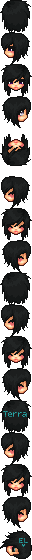ris