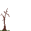ded treeh