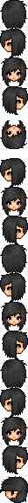 ris1