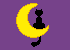 cat on moon