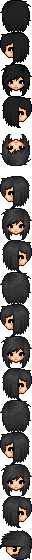 ris