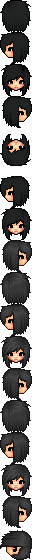 ris
