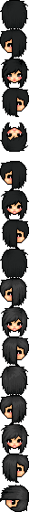 ris