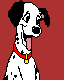 pongo