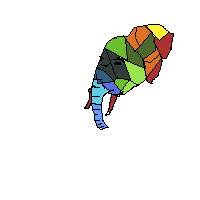 c