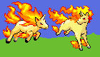 playful rapidash