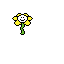 flowey