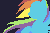 rainbowdash