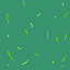 grass